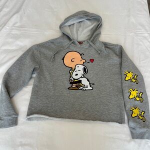Peanuts Charlie Brown Hoodie Ladies size M